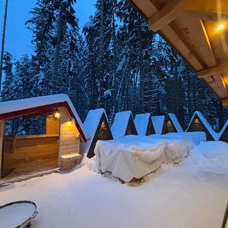 Hotel Algara Hut Panichishte Esterno foto