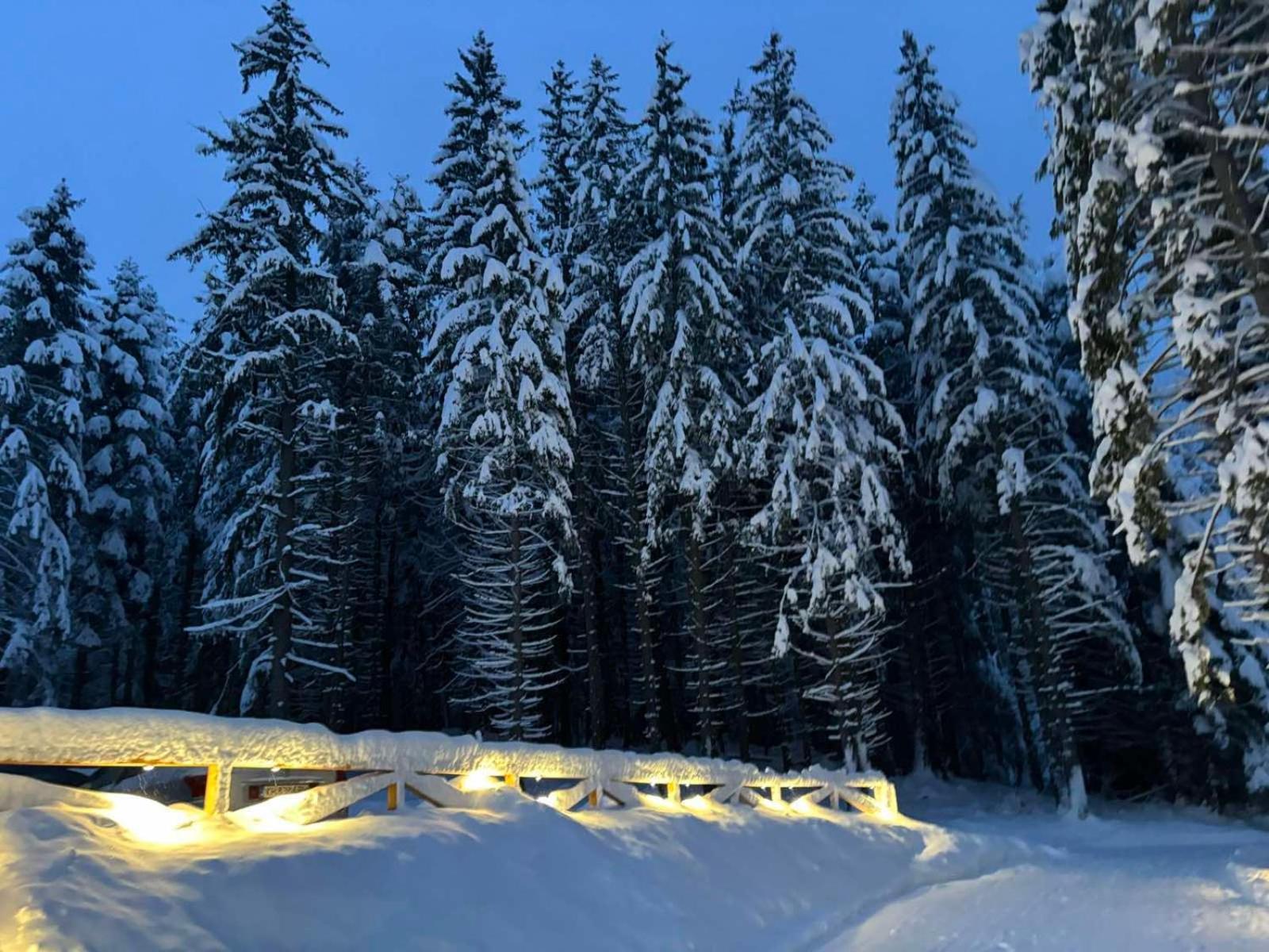 Hotel Algara Hut Panichishte Esterno foto