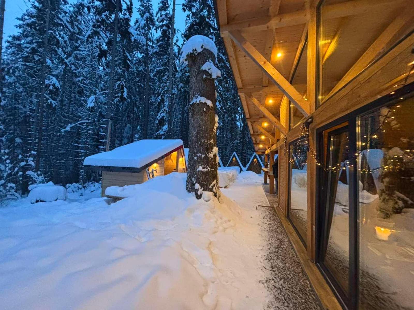 Hotel Algara Hut Panichishte Esterno foto