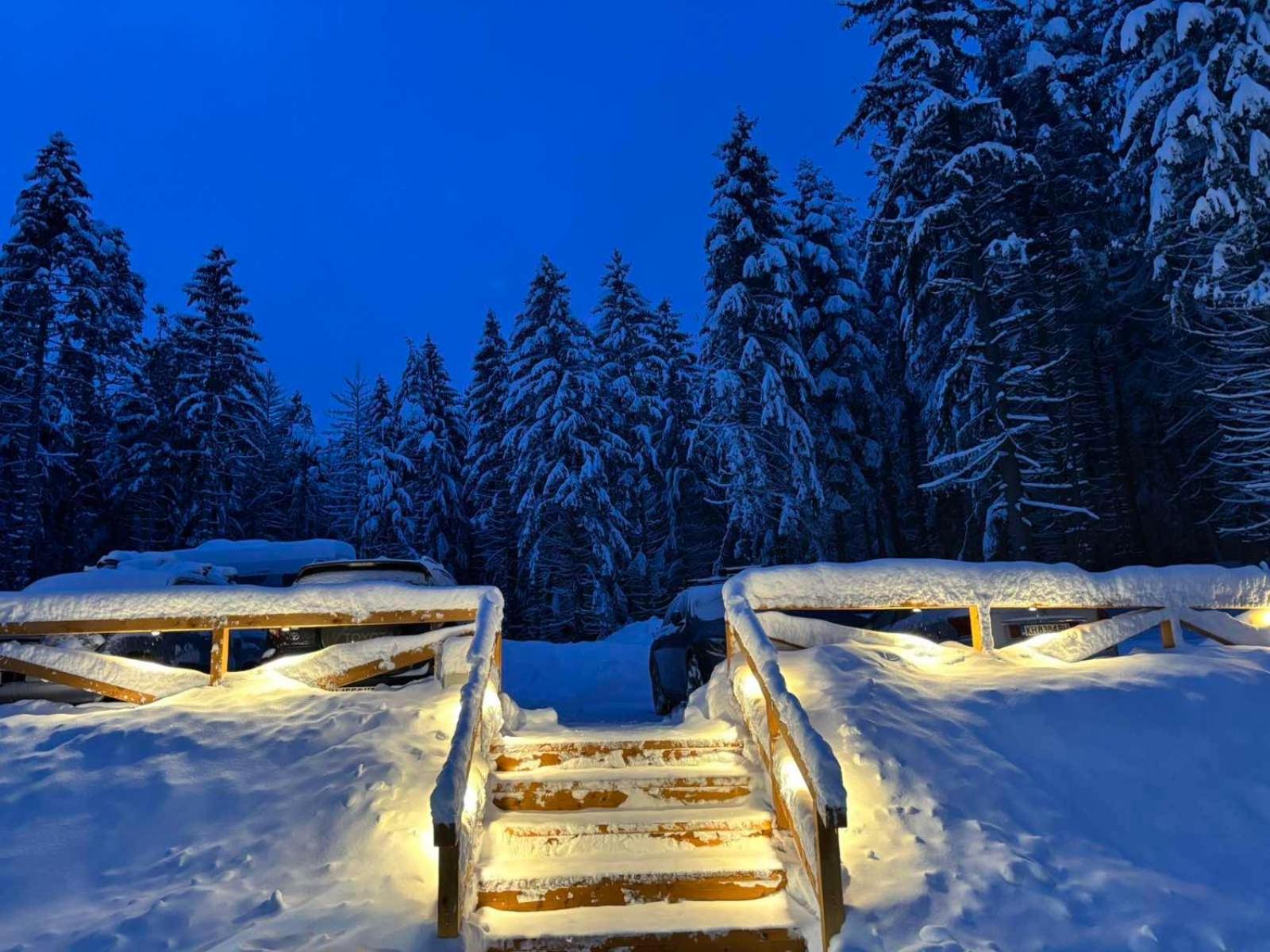 Hotel Algara Hut Panichishte Esterno foto